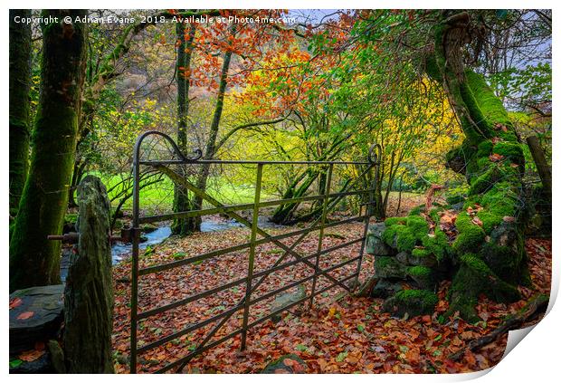 Gate to Autumn Print by Adrian Evans