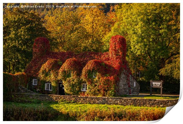 Llanrwst Tea Room Autumn Print by Adrian Evans