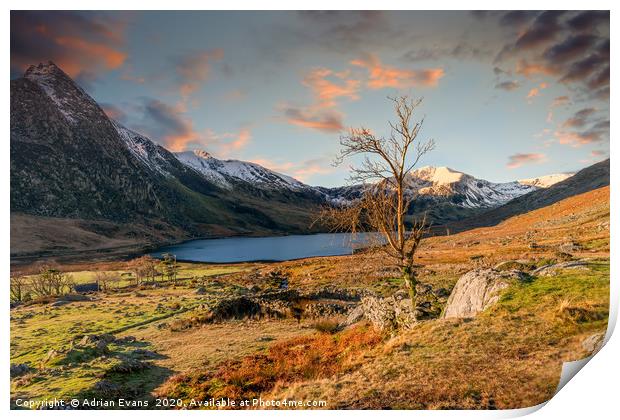 Ogwen Lake Sunset Snowdonia Print by Adrian Evans