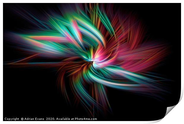 The Twirl Print by Adrian Evans