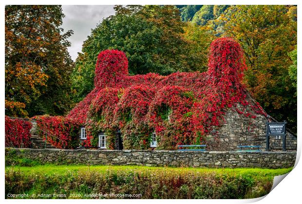 Autumn Tea House Llanrwst Wales Print by Adrian Evans