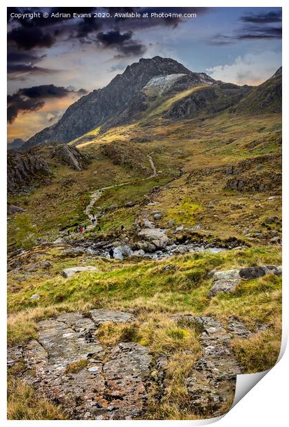 Footpath To Snowdonia Wales Print by Adrian Evans