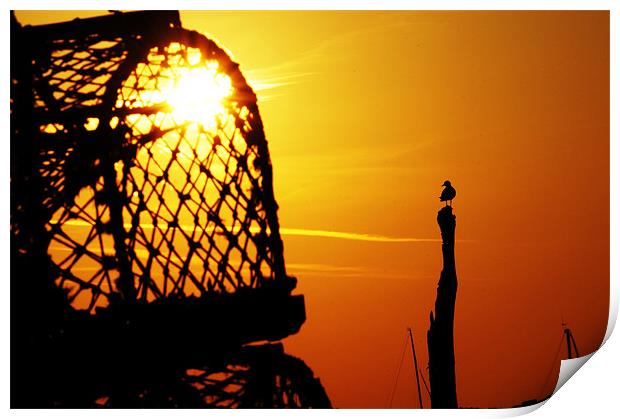 Looking for lobsters at sunset! Print by Gary Pearson