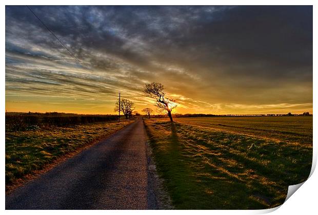 The road in to Ringstead Print by Gary Pearson