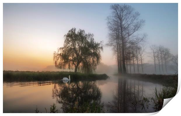 Early morning mist on the commute to Bintree mill  Print by Gary Pearson
