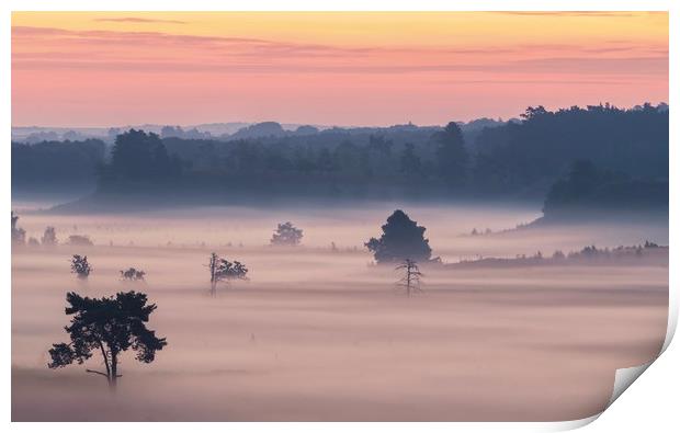 A magical misty morning  Print by Gary Pearson