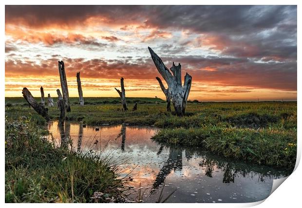 Sunset colours over the Thornham stumps  Print by Gary Pearson