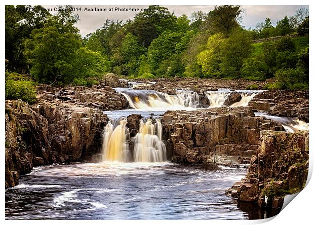 Low Force Print by Trevor Camp