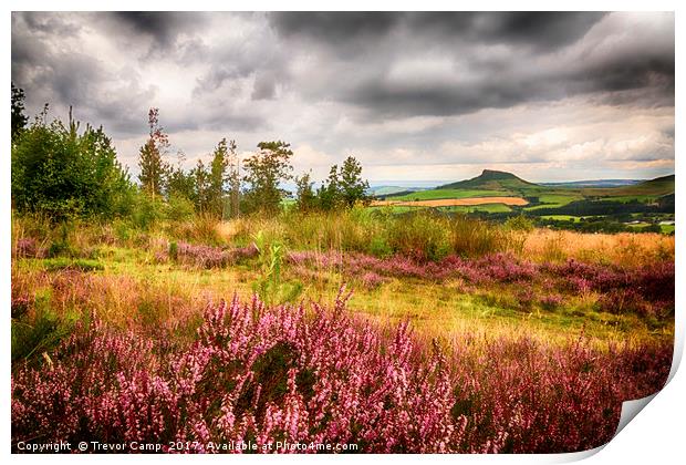 The Enchanting Roseberry Topping Print by Trevor Camp