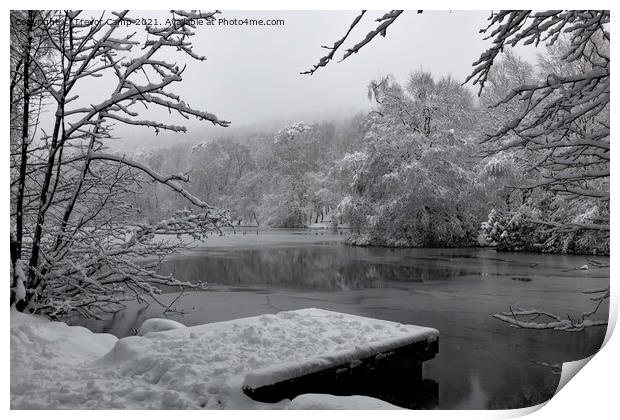 Coppice Pond Snow - 04 Print by Trevor Camp