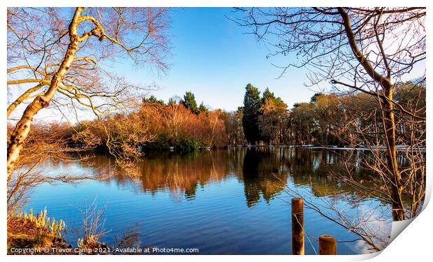 Across the Pond Print by Trevor Camp