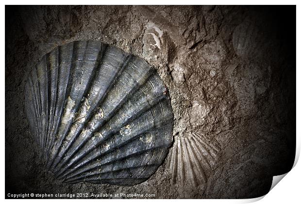 fossil clam shell Print by stephen clarridge