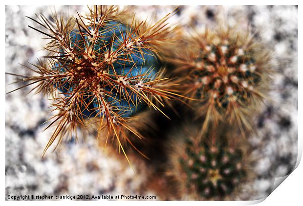 Cactus Abstract Print by stephen clarridge