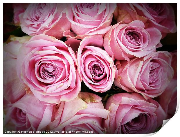 Pink roses with gold glitter Print by stephen clarridge