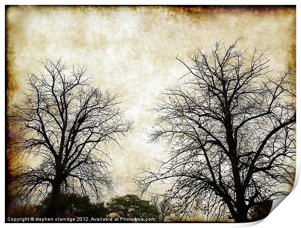 Vintage Tree silhouettes Print by stephen clarridge