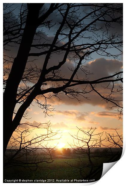 Sunset through the trees 1 Print by stephen clarridge