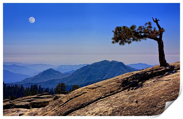 Lone Tree With Mountain View Print by Steven Clements LNPS