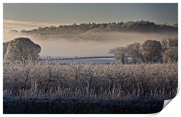 Frosty Misty Morning Print by Steven Clements LNPS