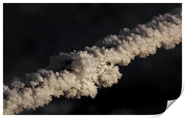 Frost Covered Barbed Wire Print by Steven Clements LNPS