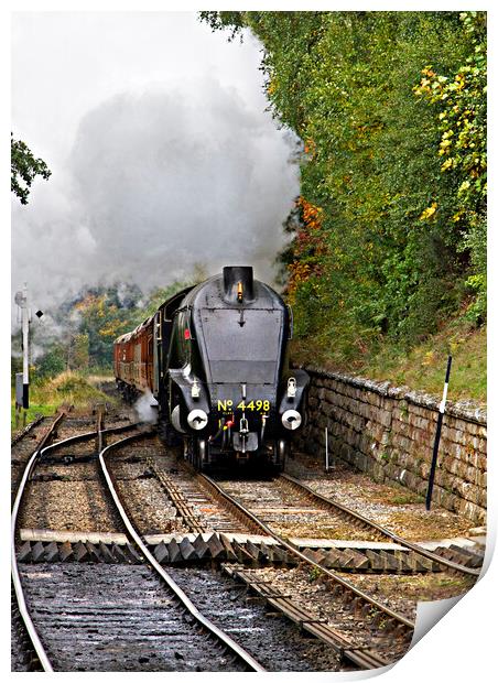 Steam Train  Print by Catherine Joll