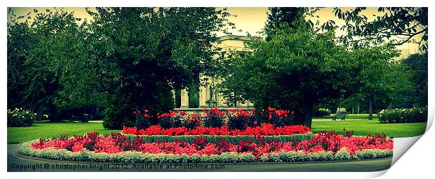 Cathays Park Print by christopher knight