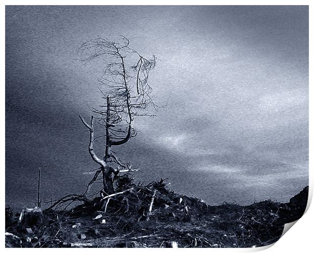 Desolation. Print by David Worthington