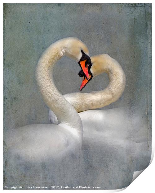 Courting Swans in Spring Print by Louise Heusinkveld