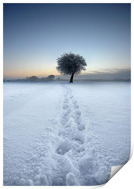 Tracks in the snow Print by Robert Fielding