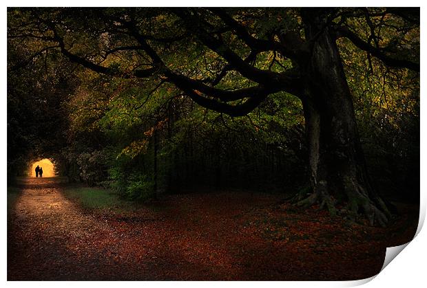 Autumn stroll Print by Robert Fielding