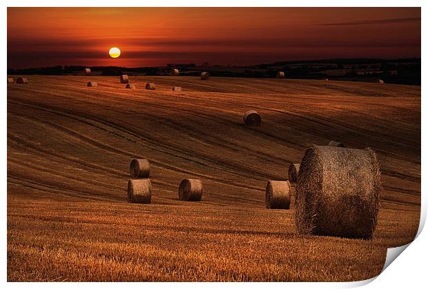 Harvest sunset Print by Robert Fielding