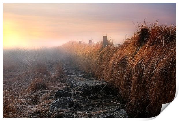 After the gales Print by Robert Fielding