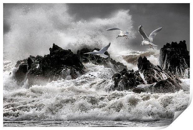 Stormy sea's  Print by Robert Fielding
