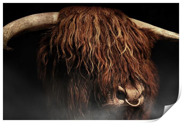 West highland cow Print by Robert Fielding