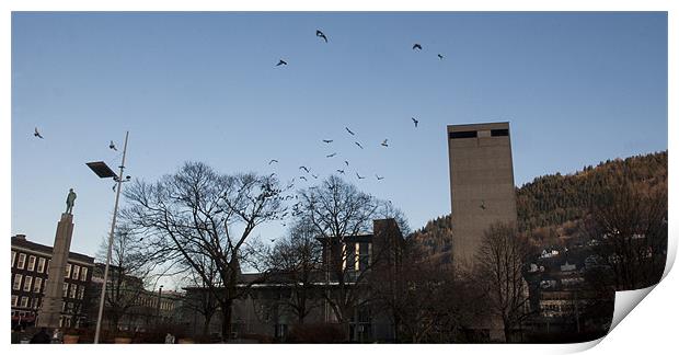 Pigeons over Bergen Print by John Boekee