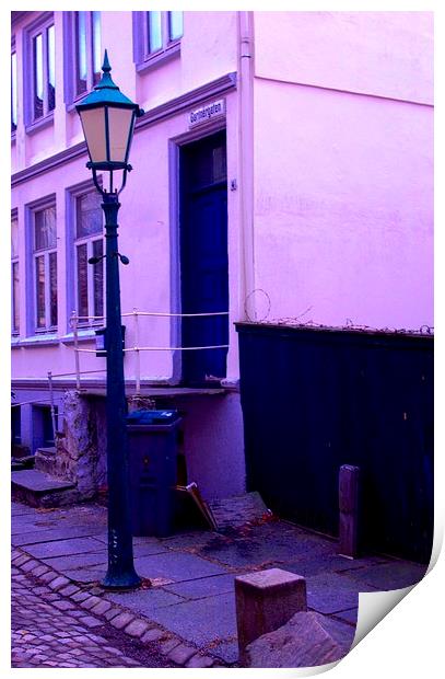 Bin day in Bergen Print by John Boekee