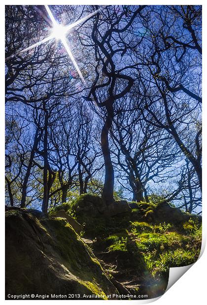 Starring Padley Gorge Print by Angie Morton