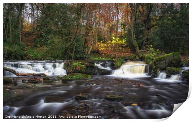 Rivelin Falls in Autumn Print by Angie Morton