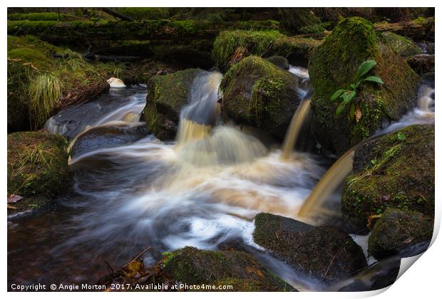 Wyming Brook Pool Print by Angie Morton