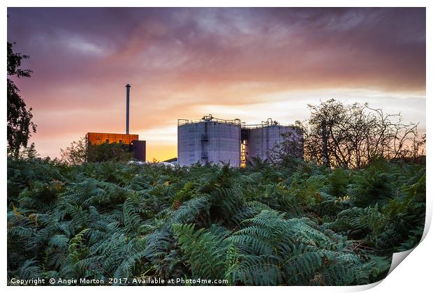 Sunset at Blackburn Meadows Print by Angie Morton