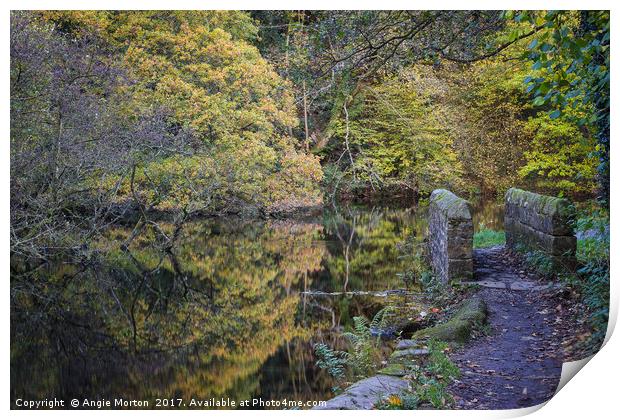 Wolfs Wheel Autumnal Reflections Print by Angie Morton