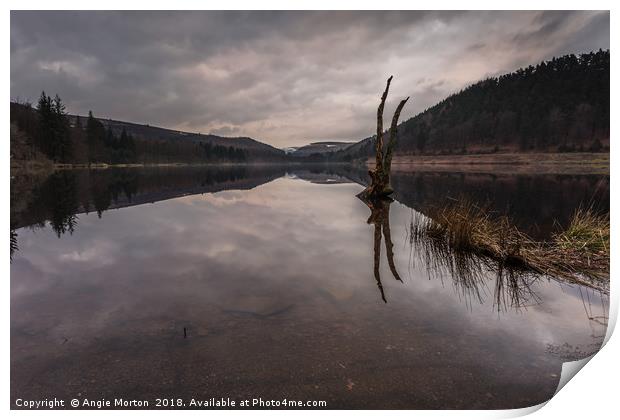 Upper Derwent Reservoir Reflections Print by Angie Morton