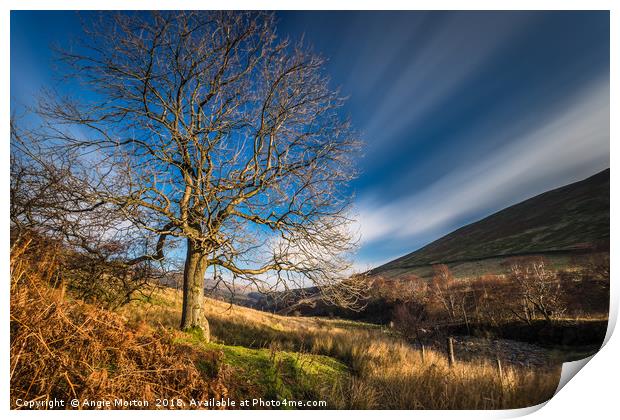 Tree by The River Ashop Print by Angie Morton