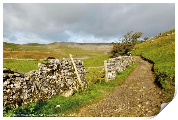 Yorkshire Dales footpath View Print by Diana Mower