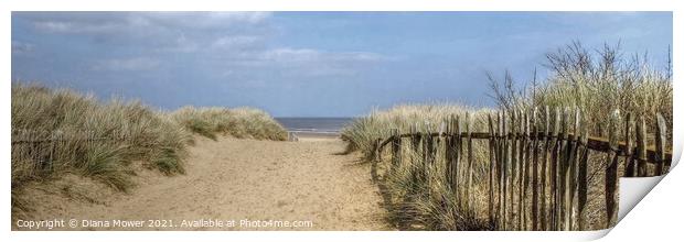 Mablethorpe beach Path panoramic Print by Diana Mower