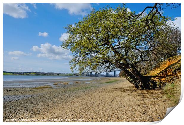  Low tide River Orwell Suffolk Print by Diana Mower