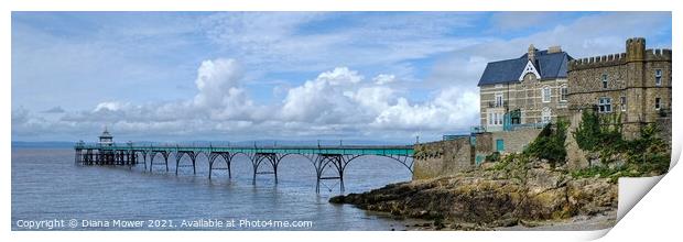Clevedon Pier Panoramic Print by Diana Mower
