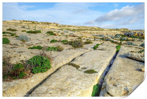 Cart Ruts Dwejra Gozo Malta Print by Diana Mower