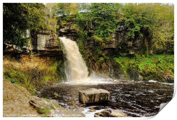 Thornton Force river Twiss  Print by Diana Mower