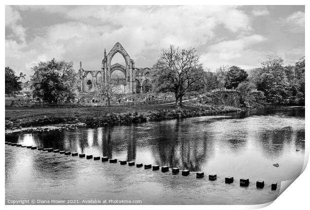 Bolton Abbey Yorkshire Monochrome Print by Diana Mower