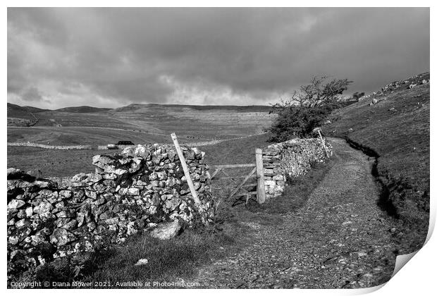 Yorkshire Dales in black and white Print by Diana Mower